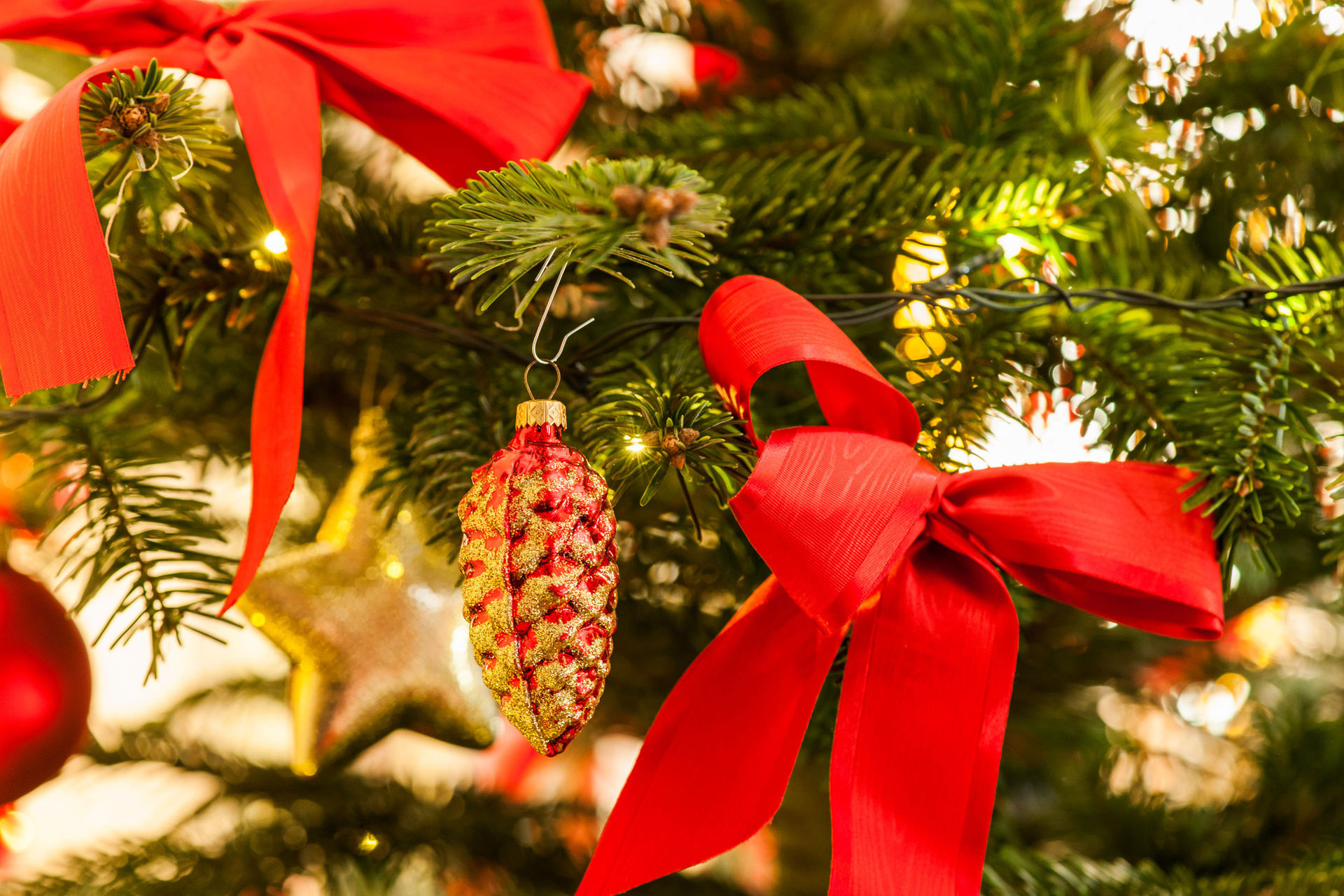 Weihnachtsbraten - jetzt Gänse- oder Entenbraten vorbestellen